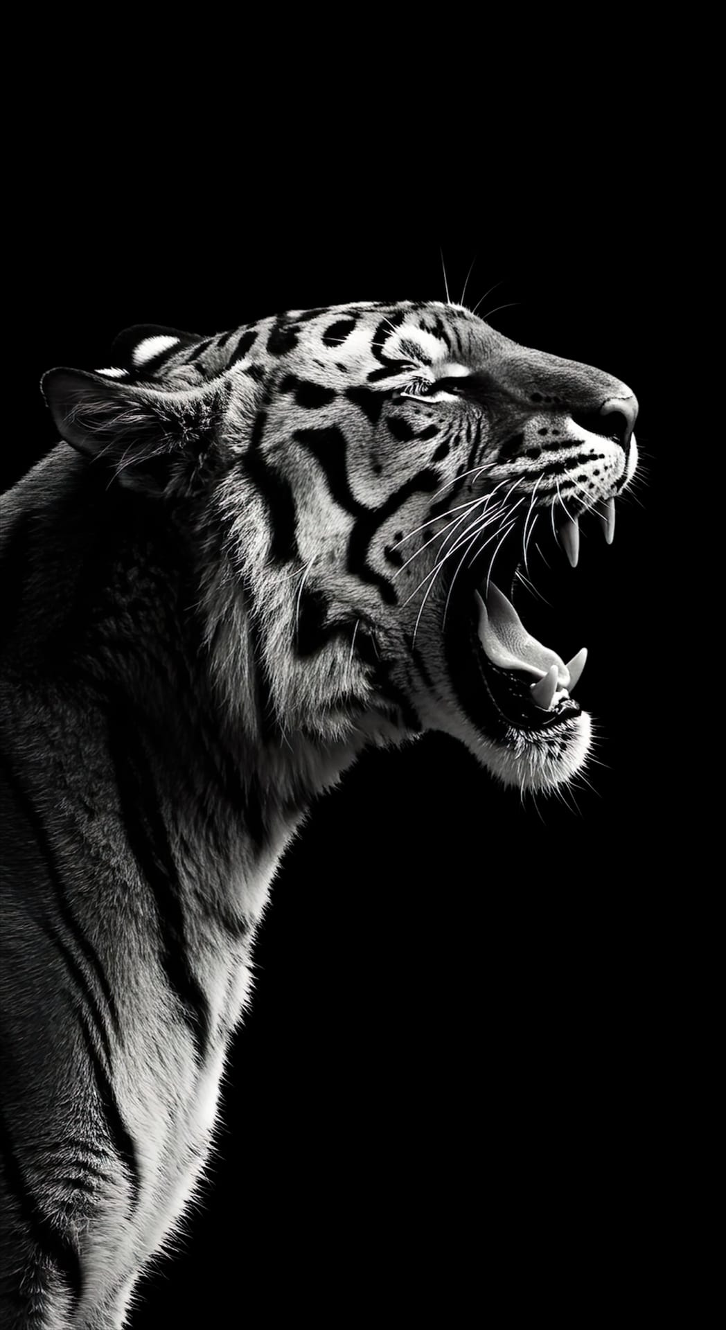 Cool Animal wallpaper 