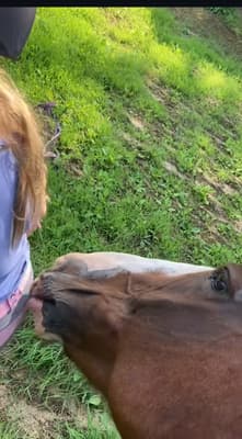Horse girl