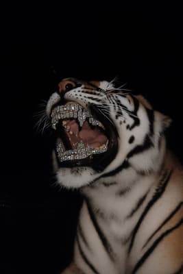 Tiger wallpaper