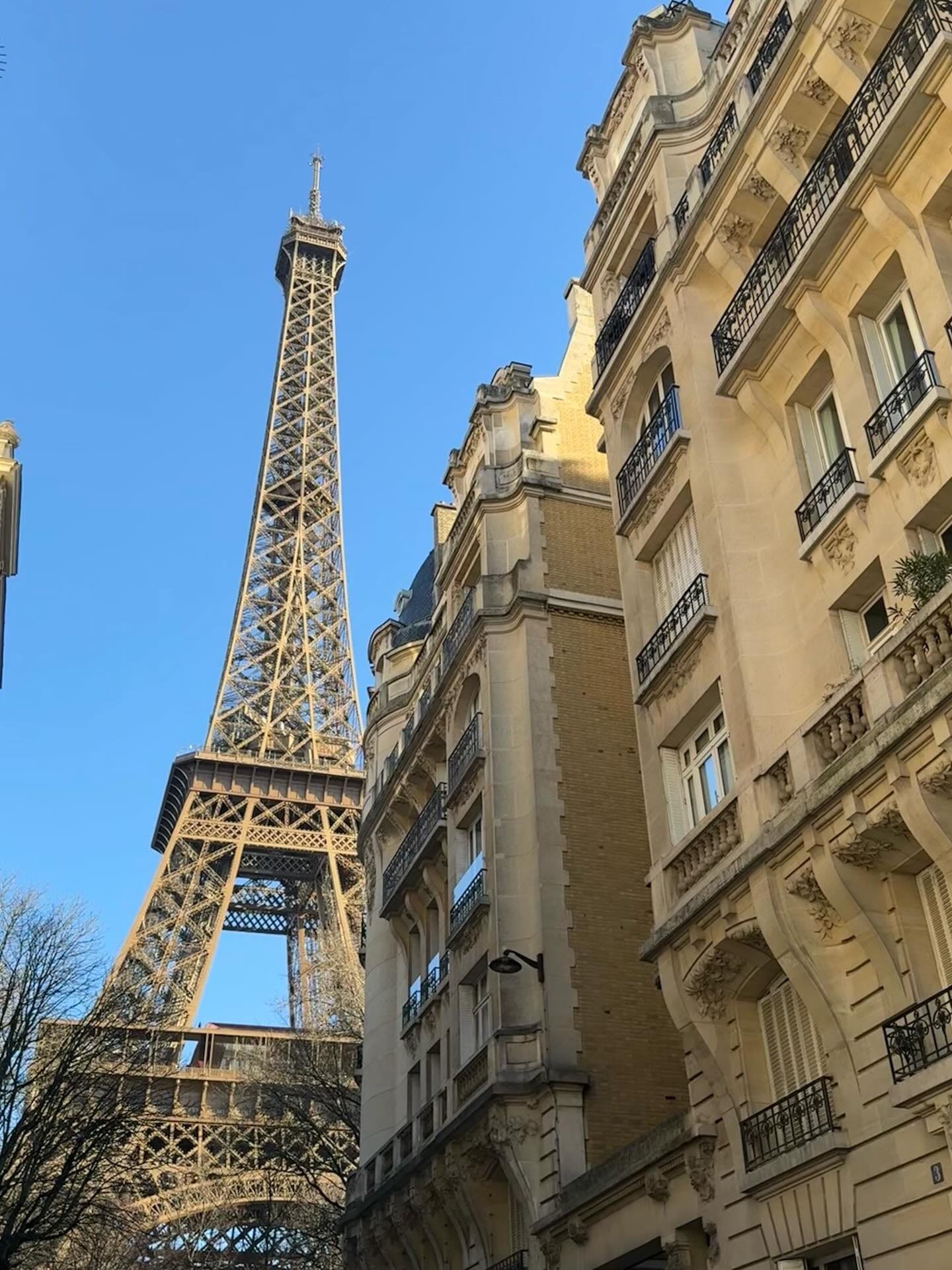 oui oui baguette 🥖🇫🇷✨ wieso nicht auch mal random Bilder posten 😎🫰🏽