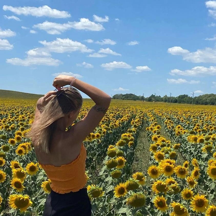 🌻