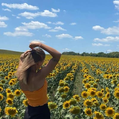 🌻