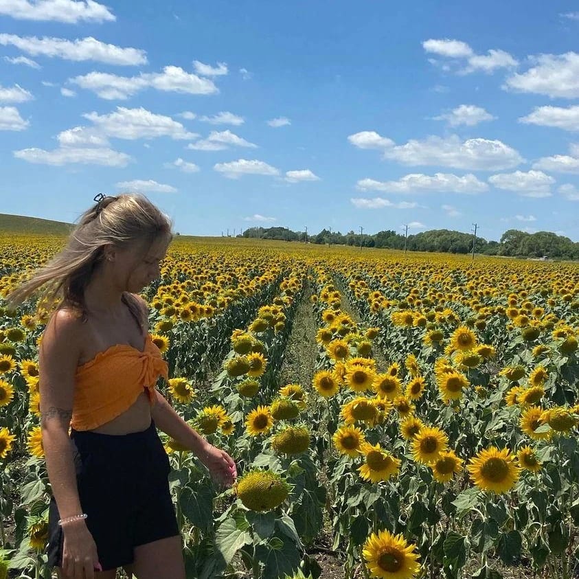 🌻