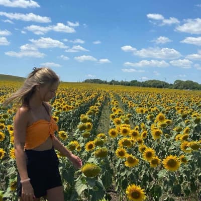 🌻