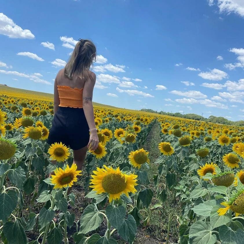 🌻