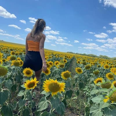 🌻