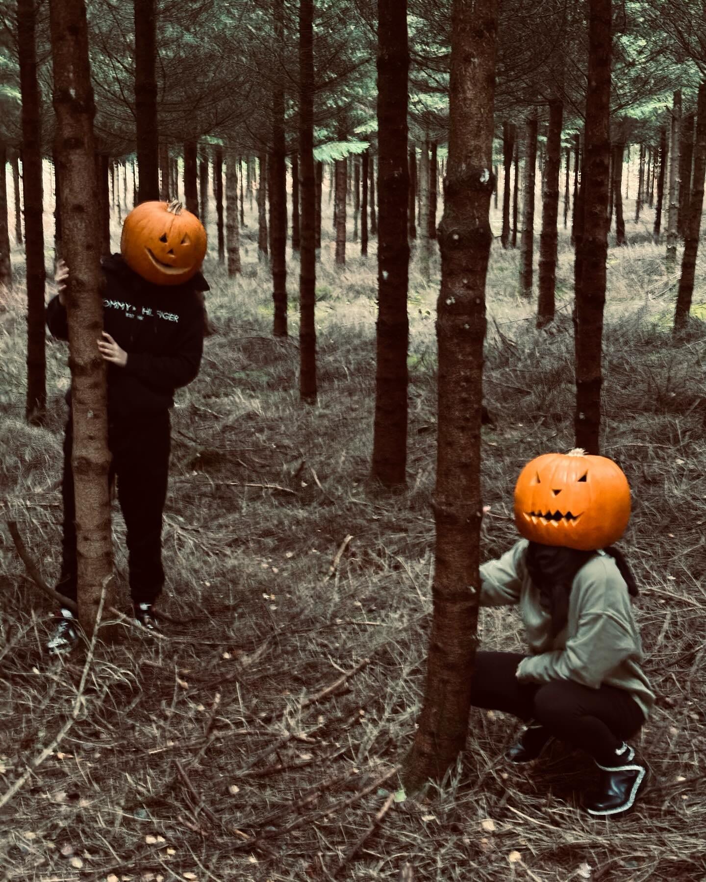 🎃🎃🎃🎃 #halloween #halloweencostume #kürbis #funny #fotoshooting #comedy #spaß #picture