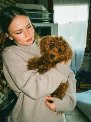 🐶✨
