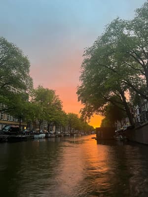 amsterdam archive x