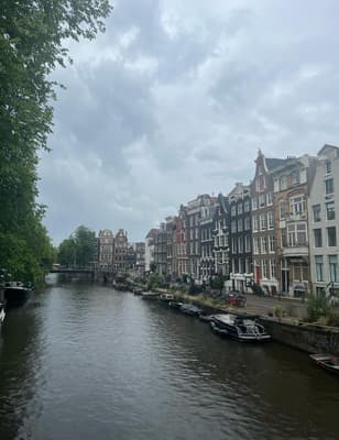 moving here asap
