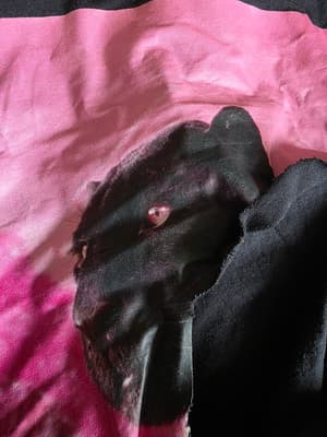 Ripped shirts