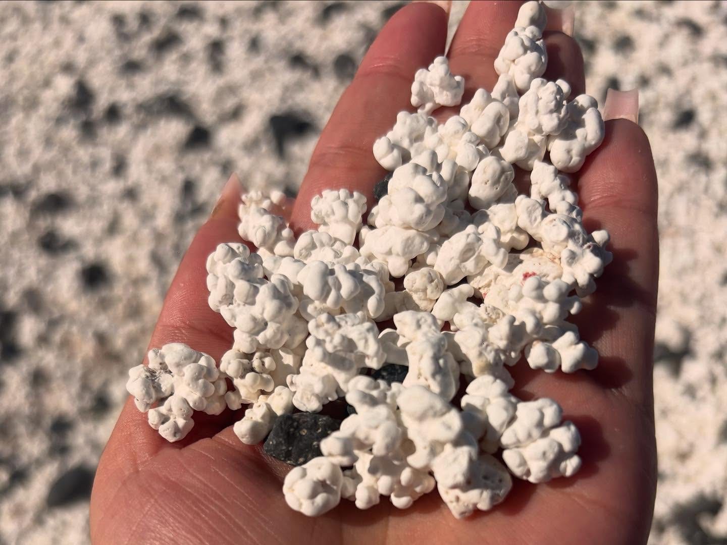 🍿Der Popcorn-Strand auf Fuerteventura ist ein einzigartiger Strand nahe Corralejo im Norden der Insel. Statt klassischem Sand besteht der Boden aus…