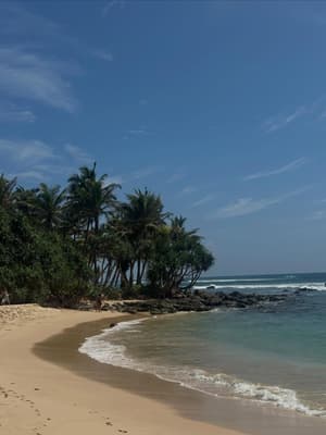 Hier gefällts mir doch so 🇱🇰🇹🇭