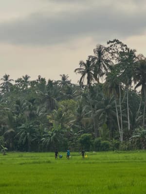 Hier gefällts mir doch so 🇱🇰🇹🇭