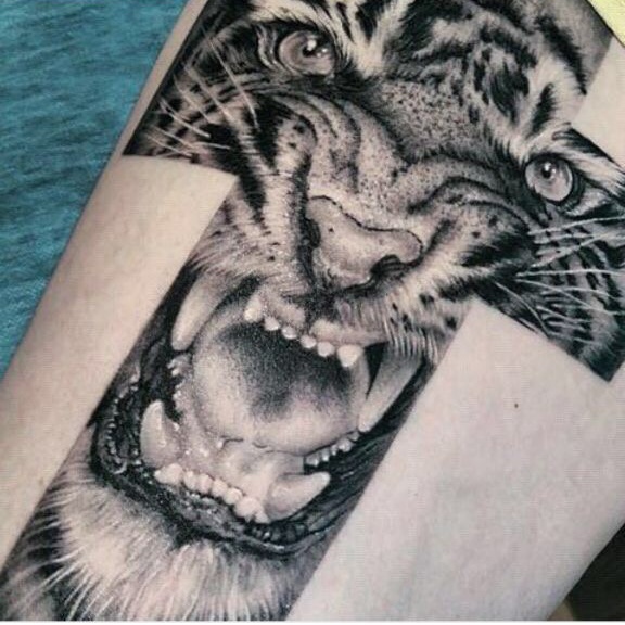 Tiger 