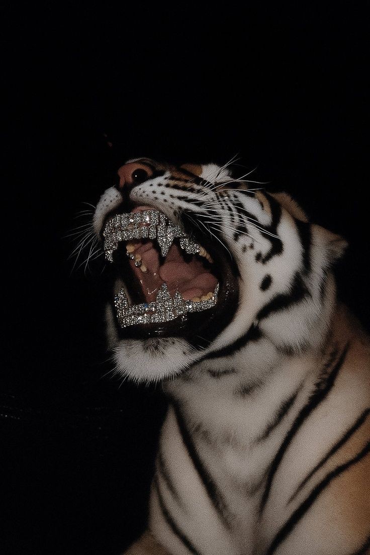 Tiger wallpaper 